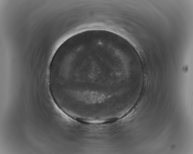 X0000097801527200803141042