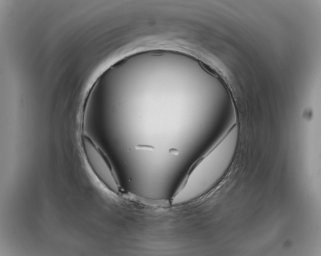 X0000097801528200803141042