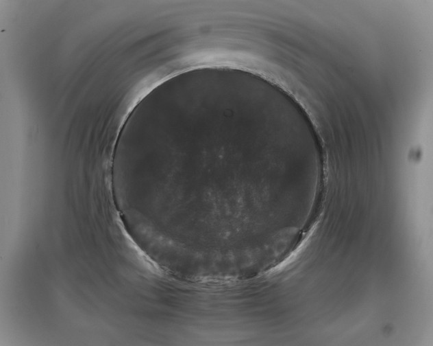 X0000097801529200803141042