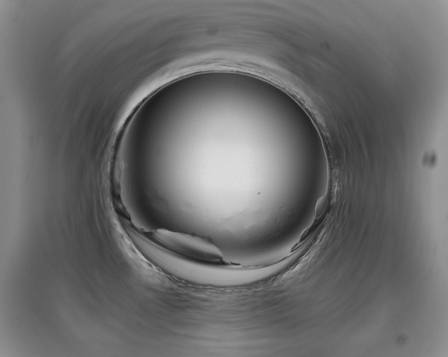 X0000097801530200803141043