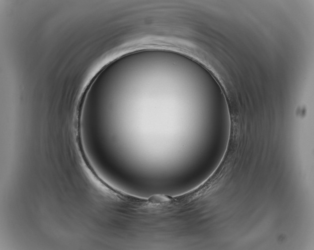 X0000097801531200803141043