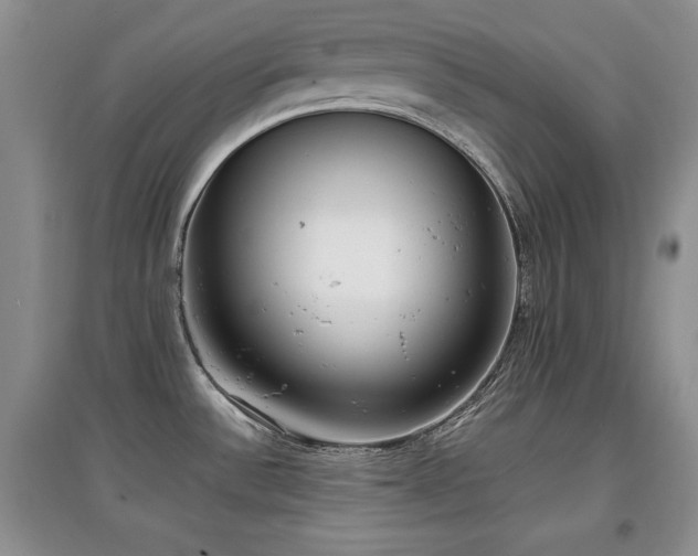 X0000097801532200803141043