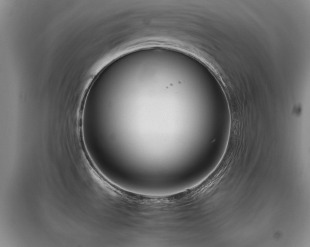 X0000097801535200803141043