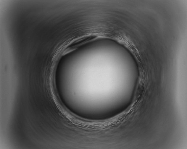 X0000097800001200803201407