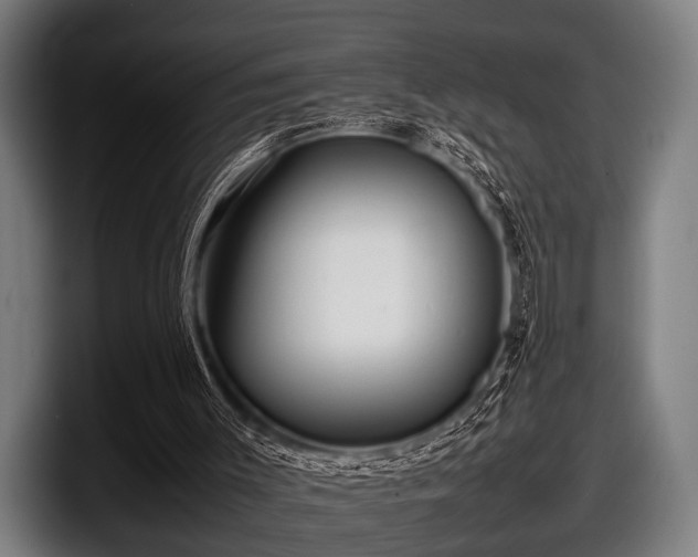 X0000097800003200803201407