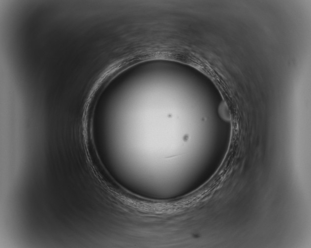 X0000097800006200803201407