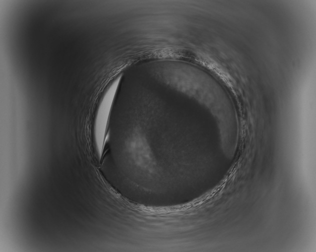 X0000097800009200803201407