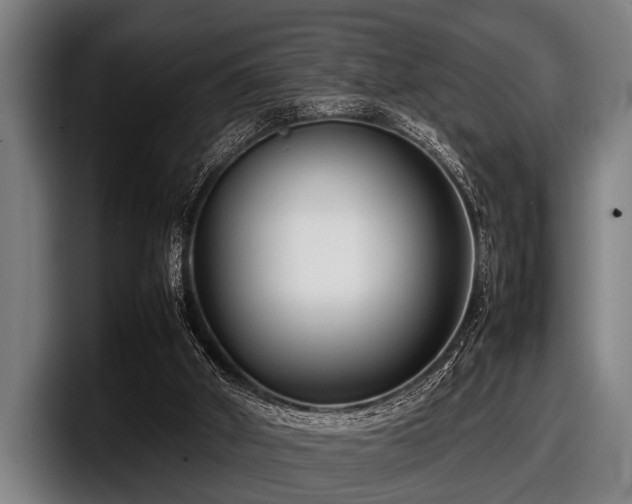 X0000097800010200803201407