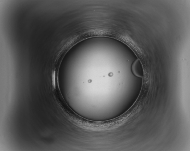 X0000097800014200803201406