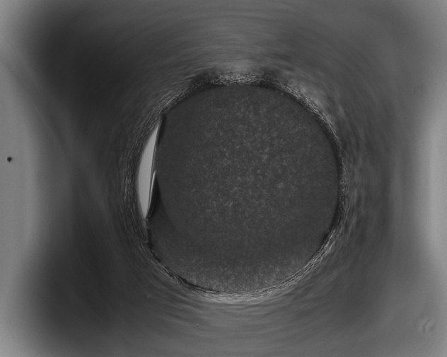 X0000097800017200803201406