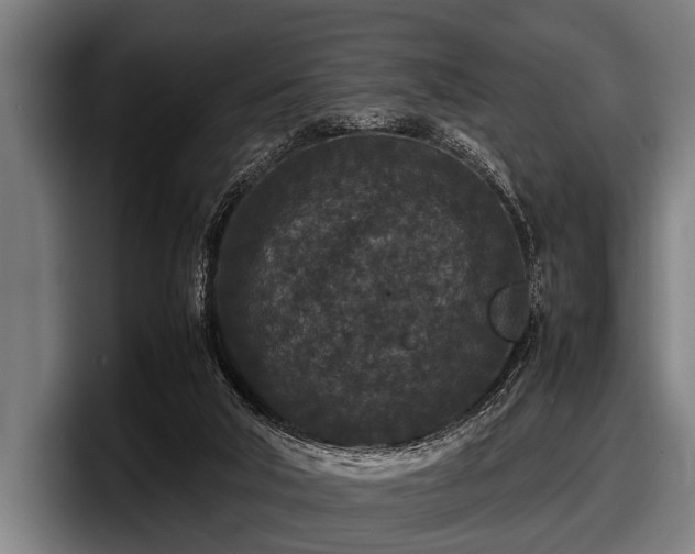 X0000097800018200803201406