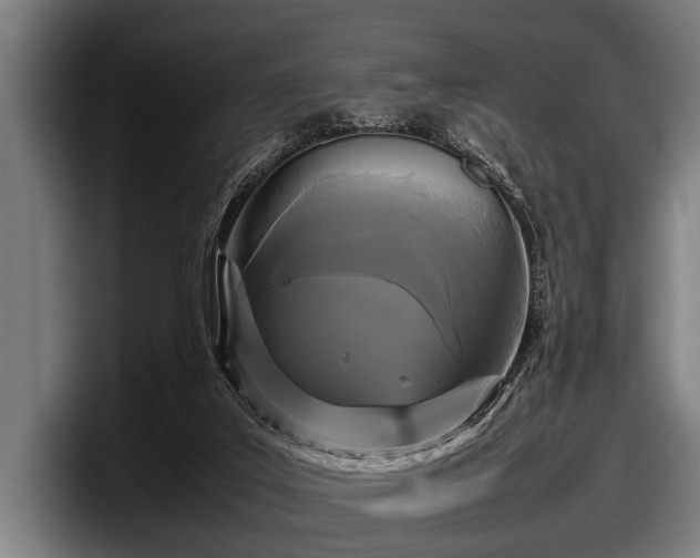 X0000097800019200803201406