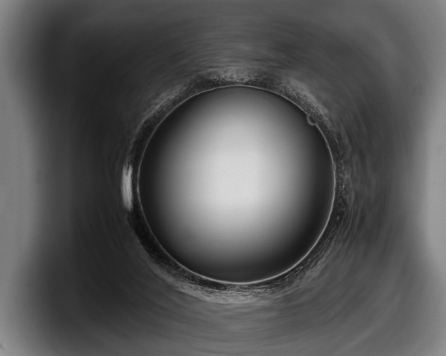 X0000097800020200803201406