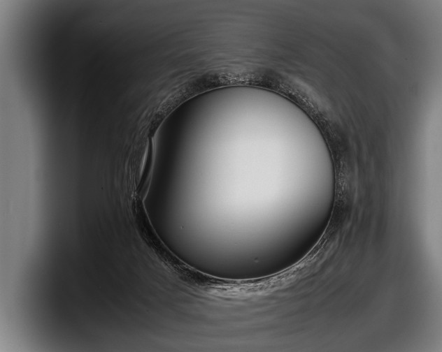 X0000097800025200803201406