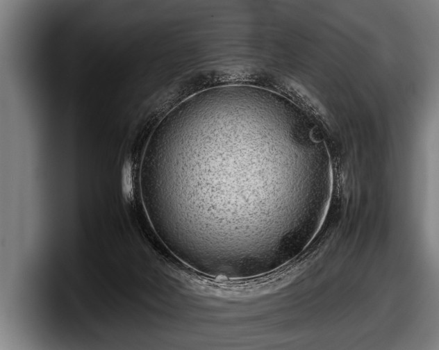 X0000097800026200803201406