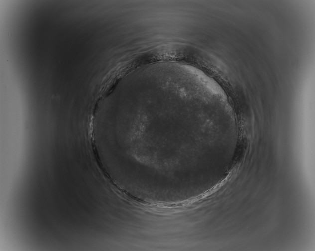 X0000097800029200803201406