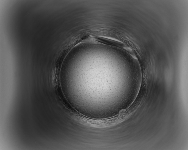 X0000097800030200803201406