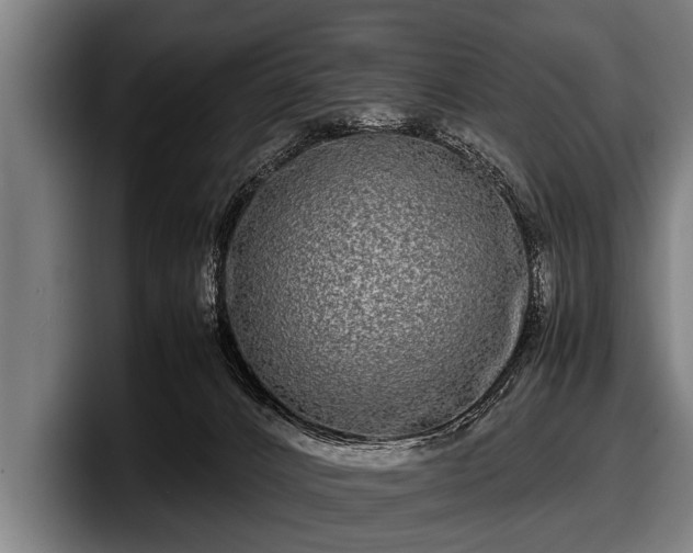 X0000097800032200803201406
