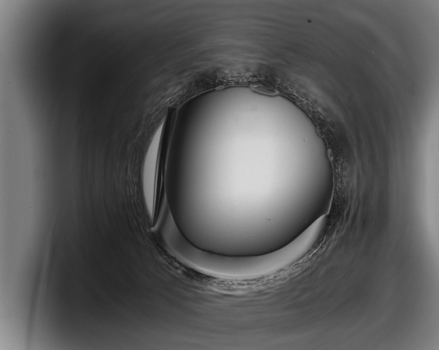 X0000097800033200803201406