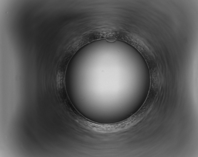 X0000097800034200803201406