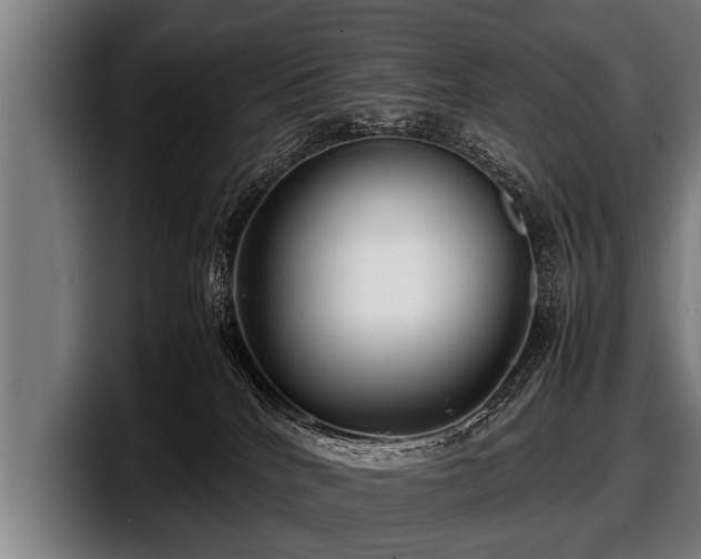 X0000097800040200803201406