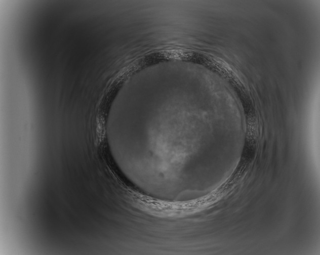 X0000097800043200803201406