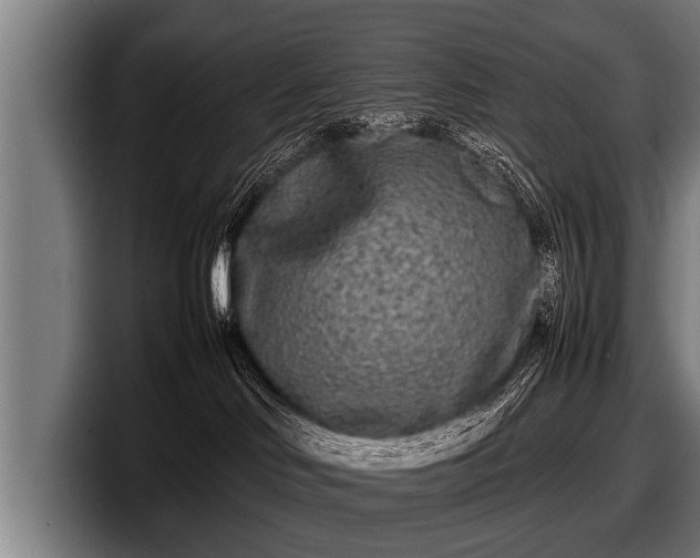 X0000097800046200803201406