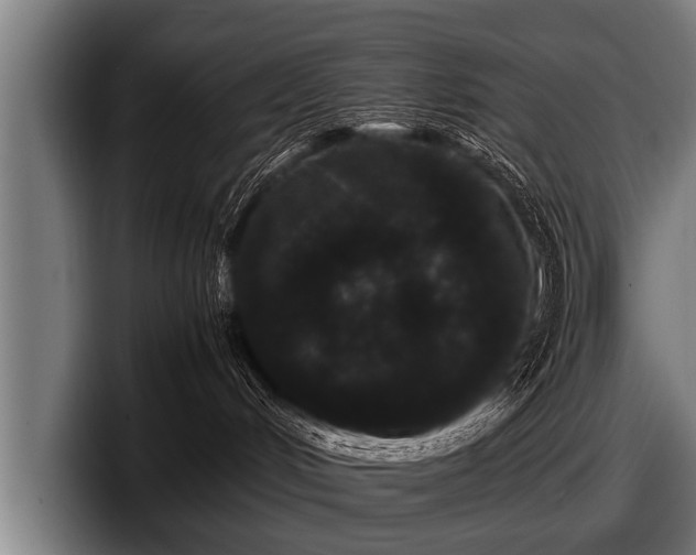 X0000097800048200803201406