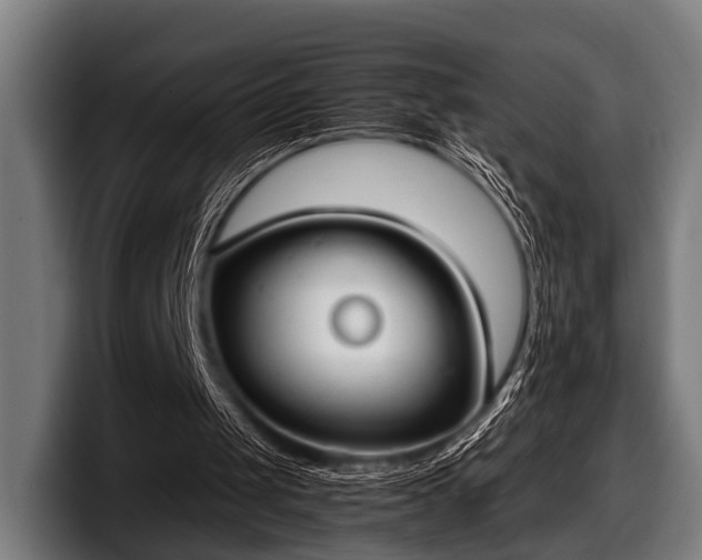 X0000097800049200803201405