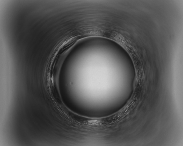 X0000097800050200803201405