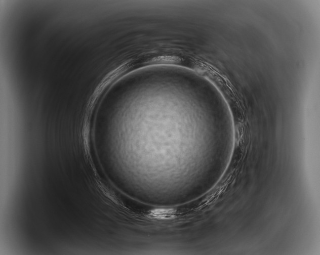 X0000097800051200803201405