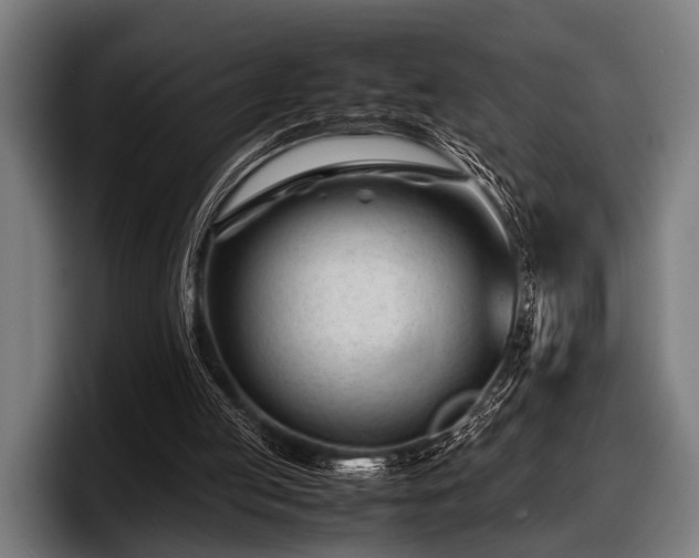 X0000097800053200803201405