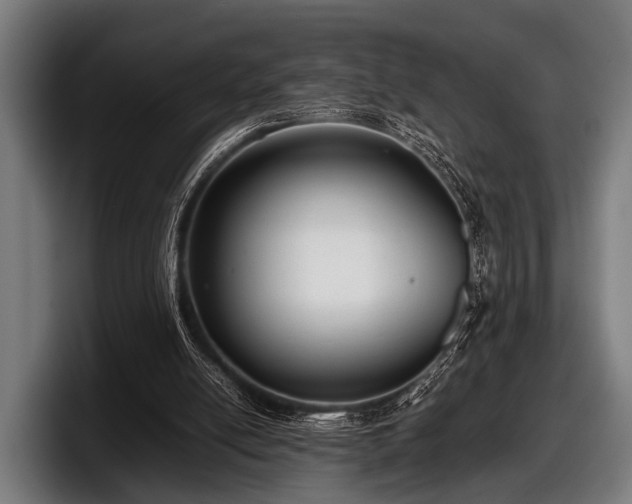 X0000097800054200803201405