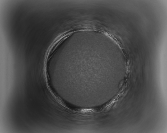 X0000097800055200803201406