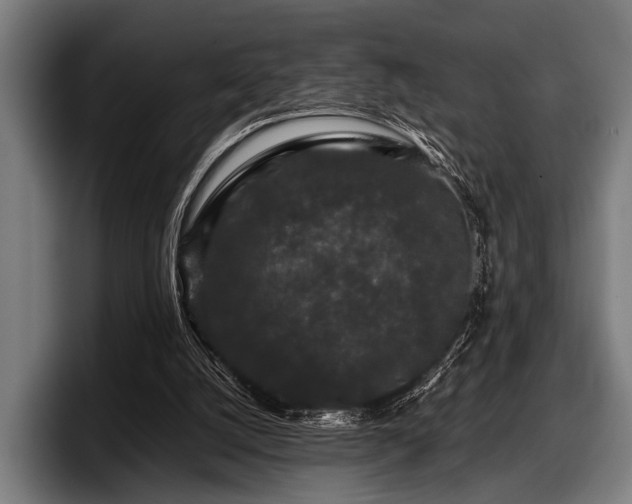 X0000097800056200803201406