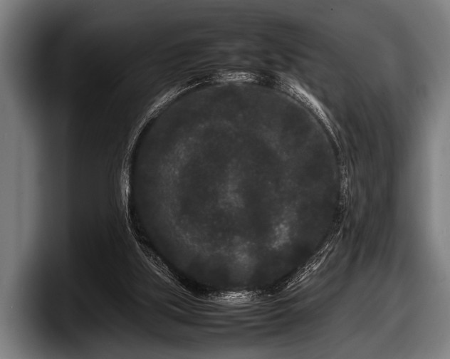 X0000097800059200803201406