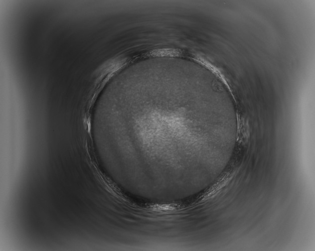 X0000097800061200803201406