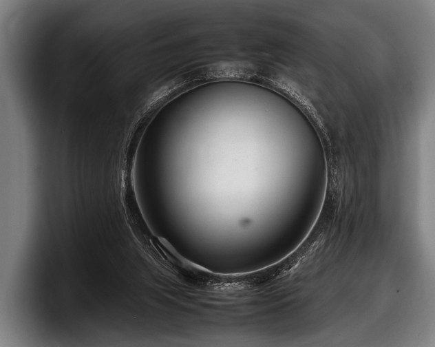 X0000097800063200803201406