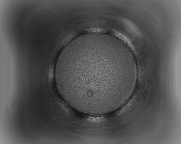 X0000097800065200803201406