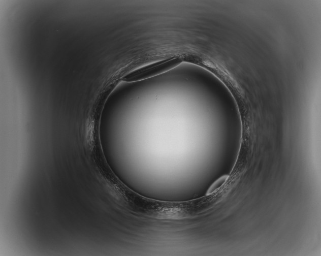 X0000097800066200803201406