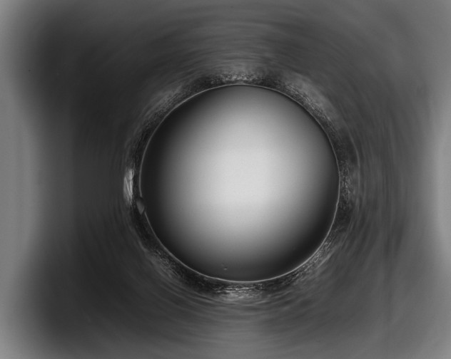 X0000097800070200803201406