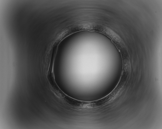 X0000097800072200803201406