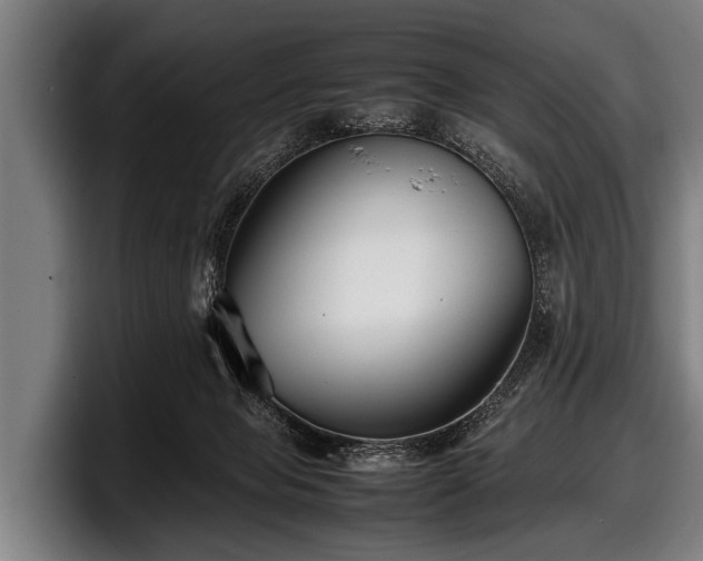 X0000097800077200803201406