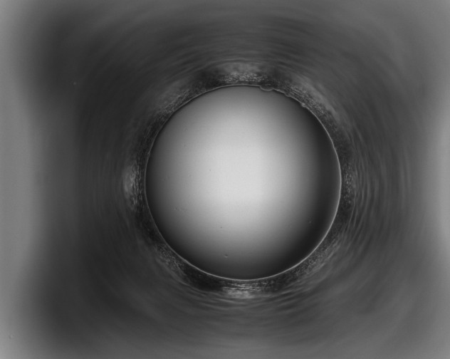 X0000097800079200803201406