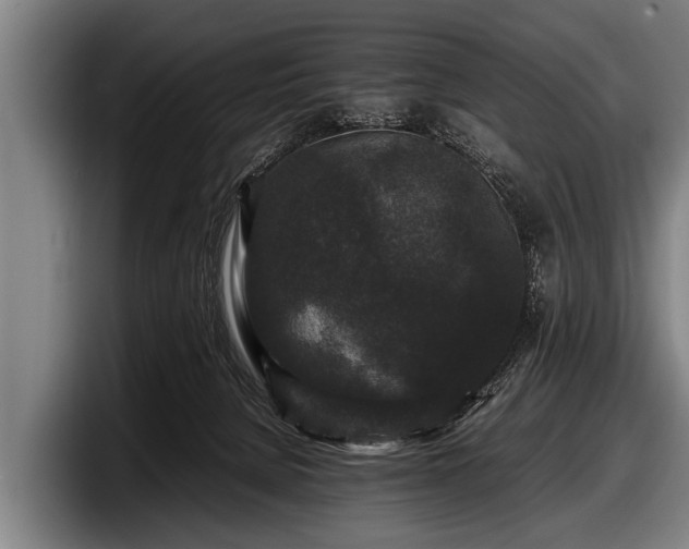 X0000097800080200803201406