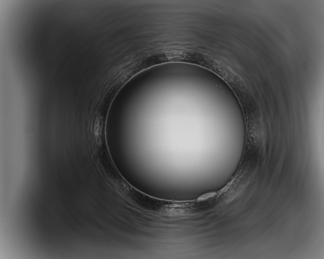 X0000097800082200803201406