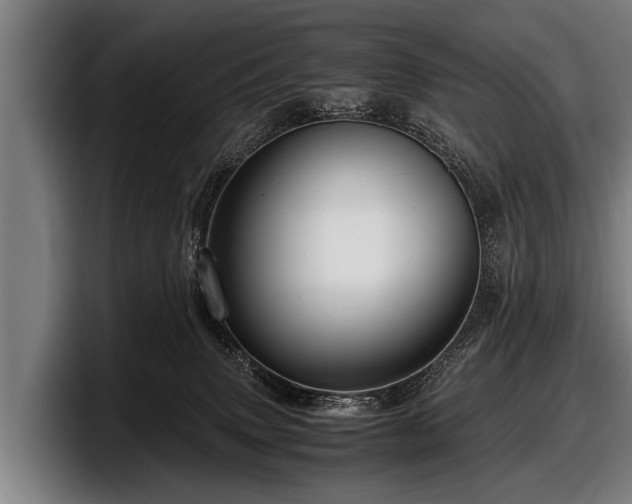 X0000097800083200803201406