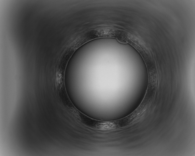 X0000097800087200803201406