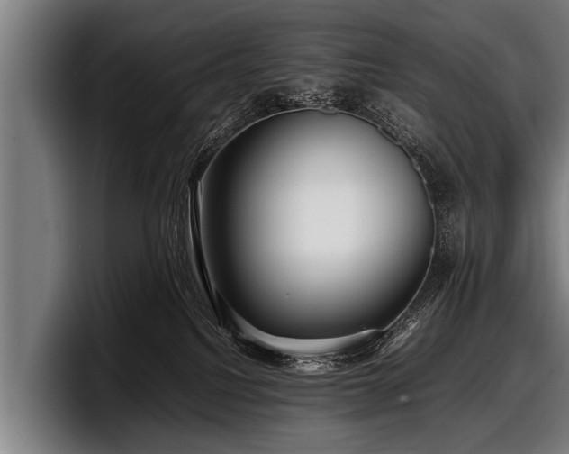 X0000097800088200803201406