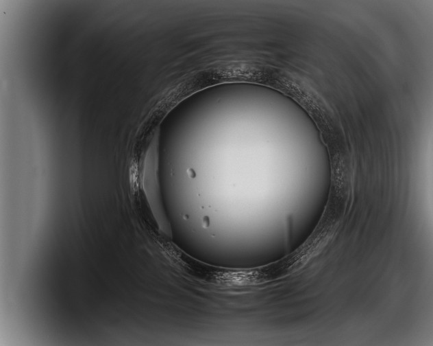 X0000097800089200803201406